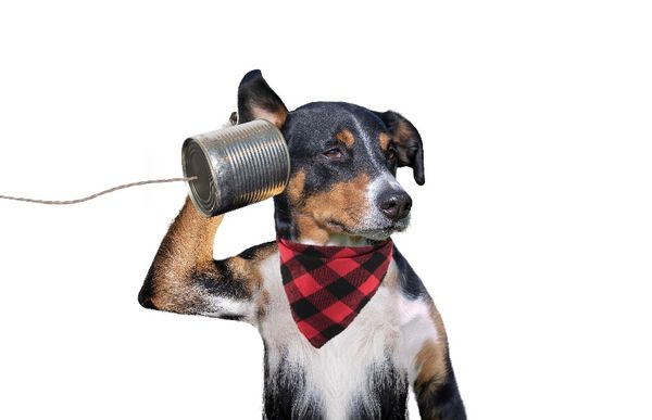 Communication